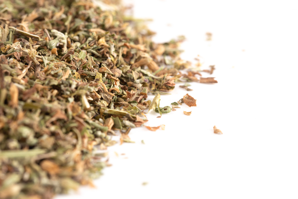 Conheça o que é e tire todas suas dúvidas sobre Catnip.